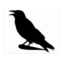 Crow Post Card