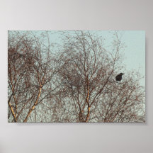 Crow poster