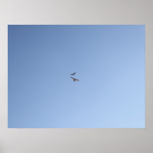 Crow Versus Hawk I Posters