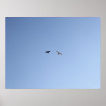 Crow Versus Hawk II Poster