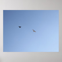 Crow Versus Hawk III Poster