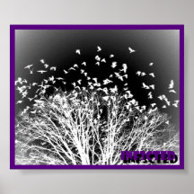 Crows Poster