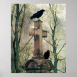 Crows Posters