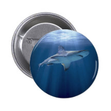 Cruising Shark Button