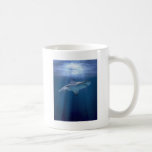 Cruising Shark Mugs