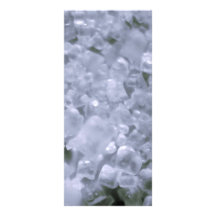 crystal custom rack cards