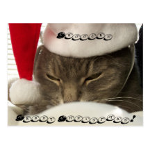 Cuddles, Merry Christmas! post cards