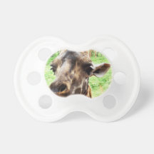 CURIOSITY BABY PACIFIERS