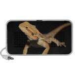 Curious Bearded Dragon 3 iPod Speakers