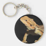 Curious Bearded Dragon 3 Keychains