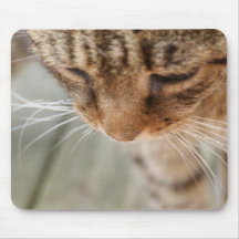 Curious Cat Mouse Mats