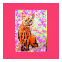 curious cat invitations