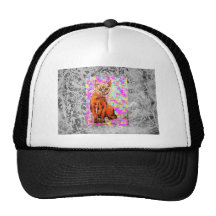 curious cat silver drip trucker hat