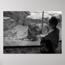 Curious Tiger Meets Curious Child Print