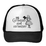 Curiouser and curiouser hat