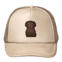 Curly Coated Retriever Cartoon Hat