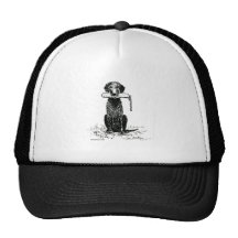 Curly Coated Retriever with Bumper Hat