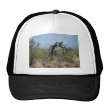 Curly Desert Tree Mesh Hats