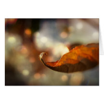 Curly Leaf Greeting Card