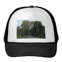 Curved road down a country lane lined green trees hat