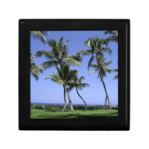 Curvy Palm Trees and Ocean Jewelry Box