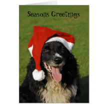Custom Border Collie Christmas Card