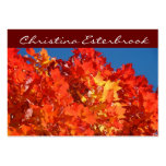 Custom Business Cards Colourful Popular Leaves