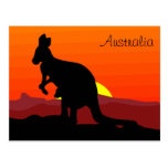 Custom Outback Australian Kangaroo at Sunset Postcard
