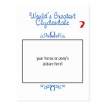 Custom Photo! Worlds Greatest Clydesdale Post Cards
