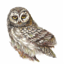 Custom Watercolor Owl, Bird, Nature, Wildlife Photo Sculpture