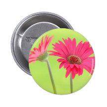 Customisable Pink Gerber Daisies on Green
