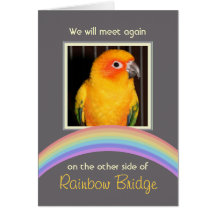Customisable Rainbow Bridge Pet Memorial Card