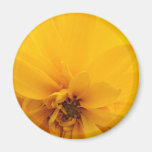 Customisable Yellow Flower Refrigerator Magnet