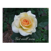 Customisable Yellow Rose Greeting Postcard