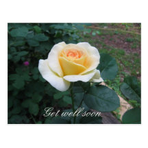 Customisable Yellow Rose Greeting Postcard