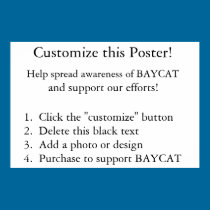 Customise this Poster! posters