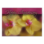 Customise your own Anniversary design Card
