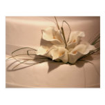 Customise your own calla lily postcard