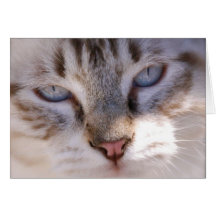 Customise your Own Pet Card