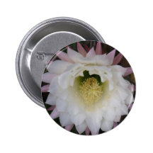 Customised Pinback Button