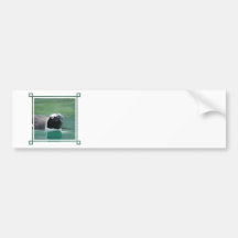 Customize Product Bumper Sticker