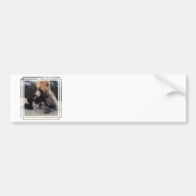 Customize Product Bumper Sticker