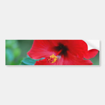 Customize Product Bumper Sticker