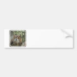 Customize Product Bumper Sticker