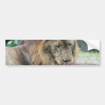 Customize Product Bumper Sticker