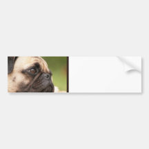 Customize Product Bumper Sticker