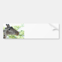 Customize Product Bumper Stickers