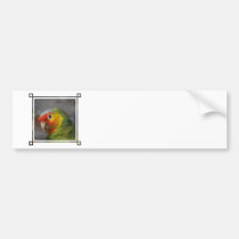 Customize Product Bumper Stickers
