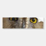 Customize Product Bumper Stickers