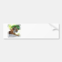 Customize Product Bumper Stickers